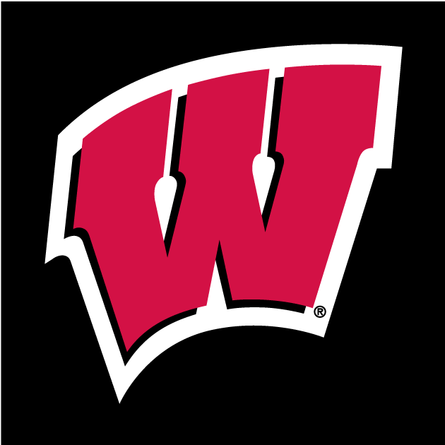 Wisconsin Badgers 1991-Pres Alternate Logo v2 DIY iron on transfer (heat transfer)